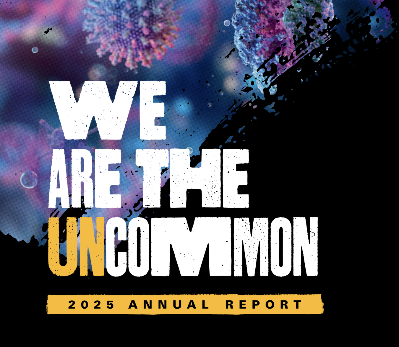 We are the uncommon 2025 annual report